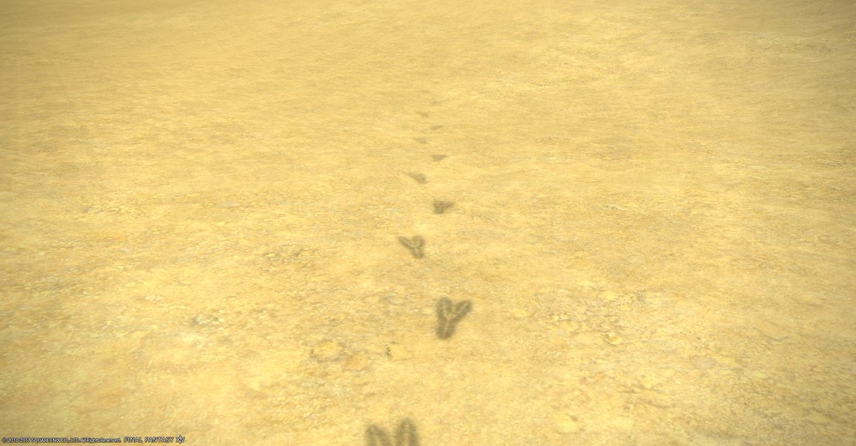 チョコボの足跡