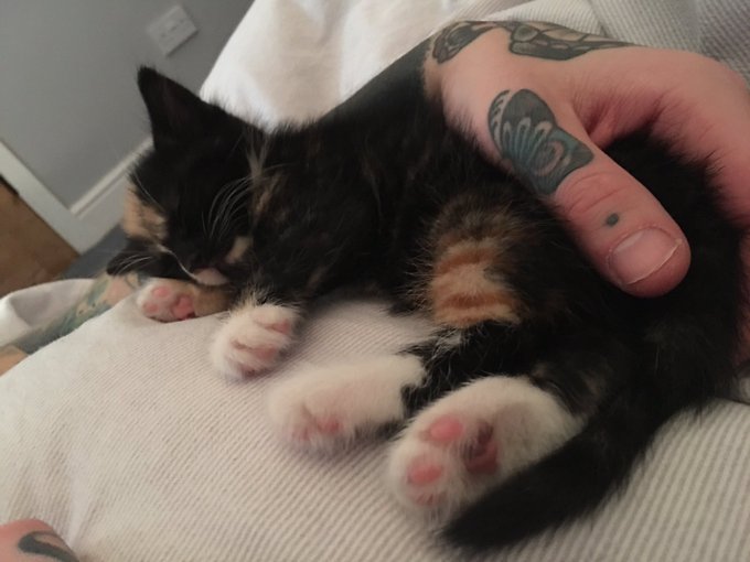 Watch GaldaLou🐐's leaked NSFW photo on TwXstars