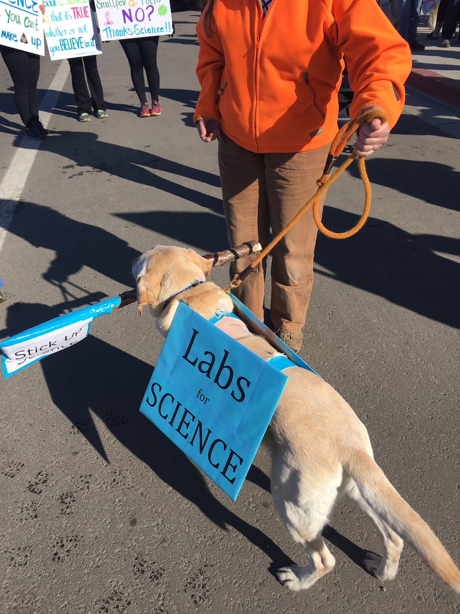 Hoover marches #dogsofMarchForScience #marchforscience #ScienceMarch