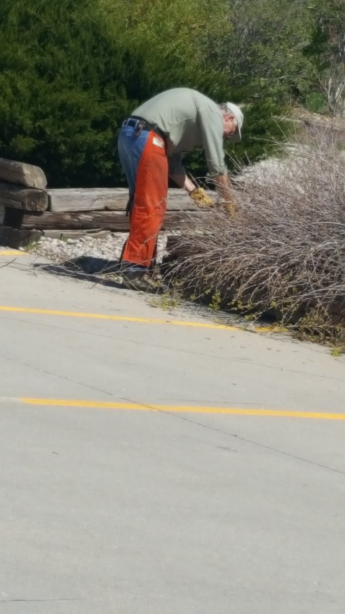 CSCLifestyles's tweet image. #will power #go eagles!