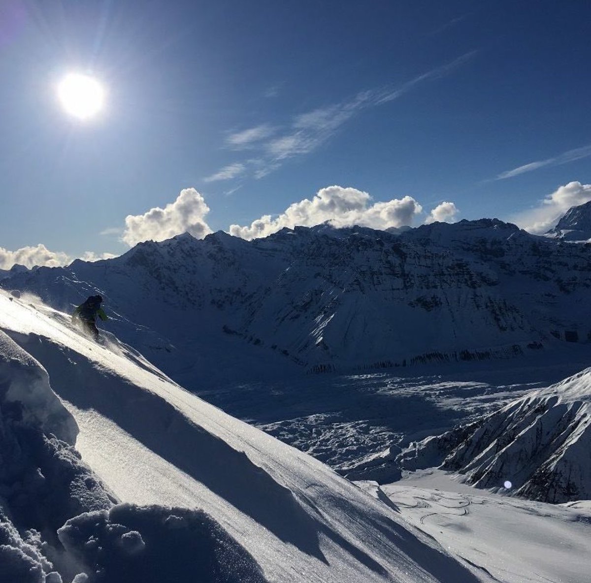 NatureOnPoint's tweet image. 