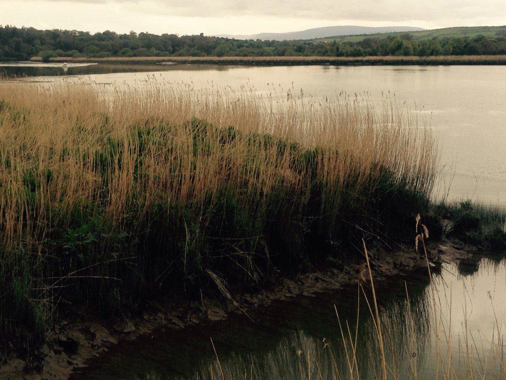 irnirn's tweet image. Waterford greenway. River Suir near mount Congreve