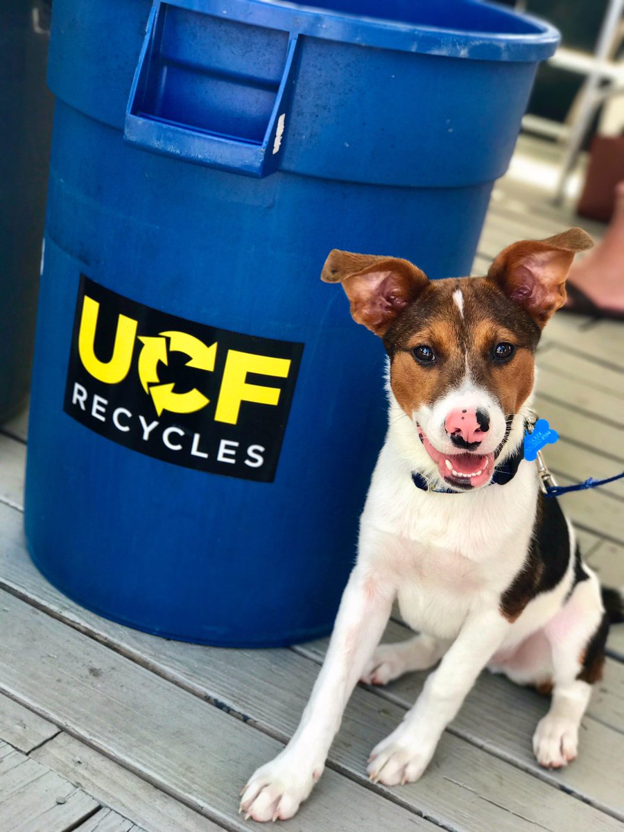 UCFKnights's tweet image. &quot;Happy #EarthDay!&quot; -Tucker 🐶