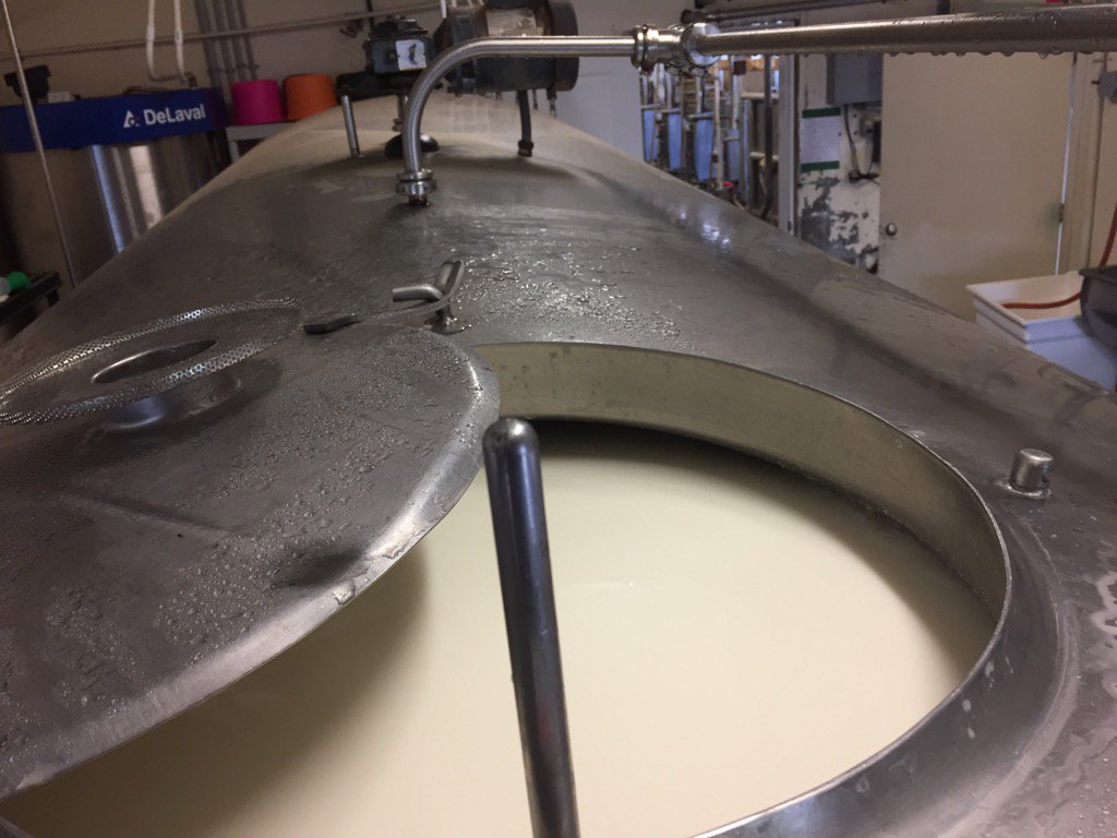 silvermaplehol's tweet image. 24 hours into 2nd VMS #DeLaval and tank is a ready to overflow.