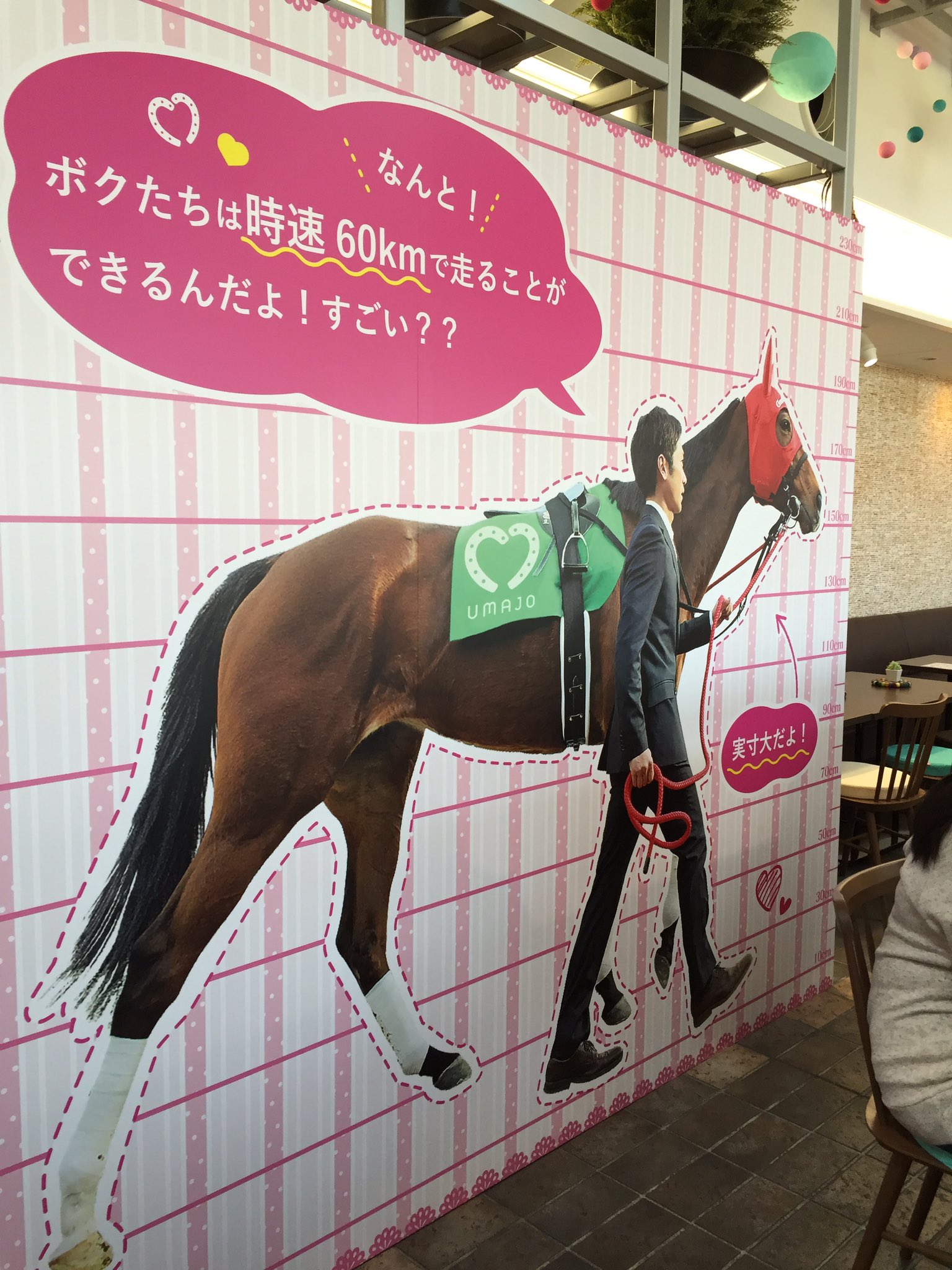 Amazon.co.jp: おがわじゅり イラストパネル ジェンティルドンナ 競馬JRA有馬記念 レース : おもちゃ