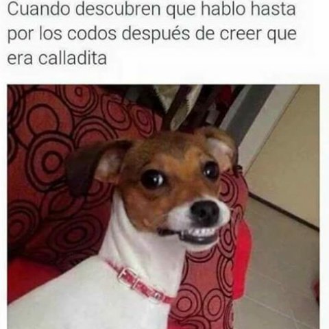OpulentaKbllera's tweet photo. Jeje https://t.co/BhqDt8prc6