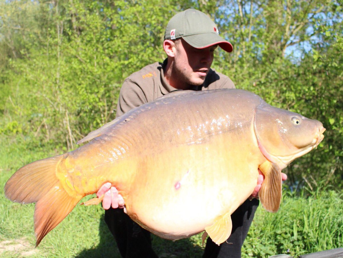 54lb 2oz - Lake Juvanzé