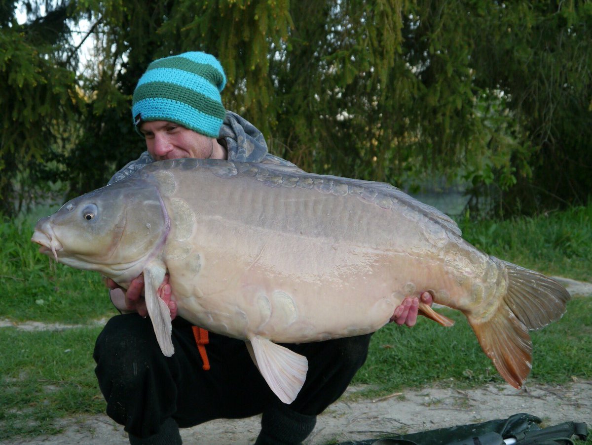 53lb 8oz - Lake Juvanzé