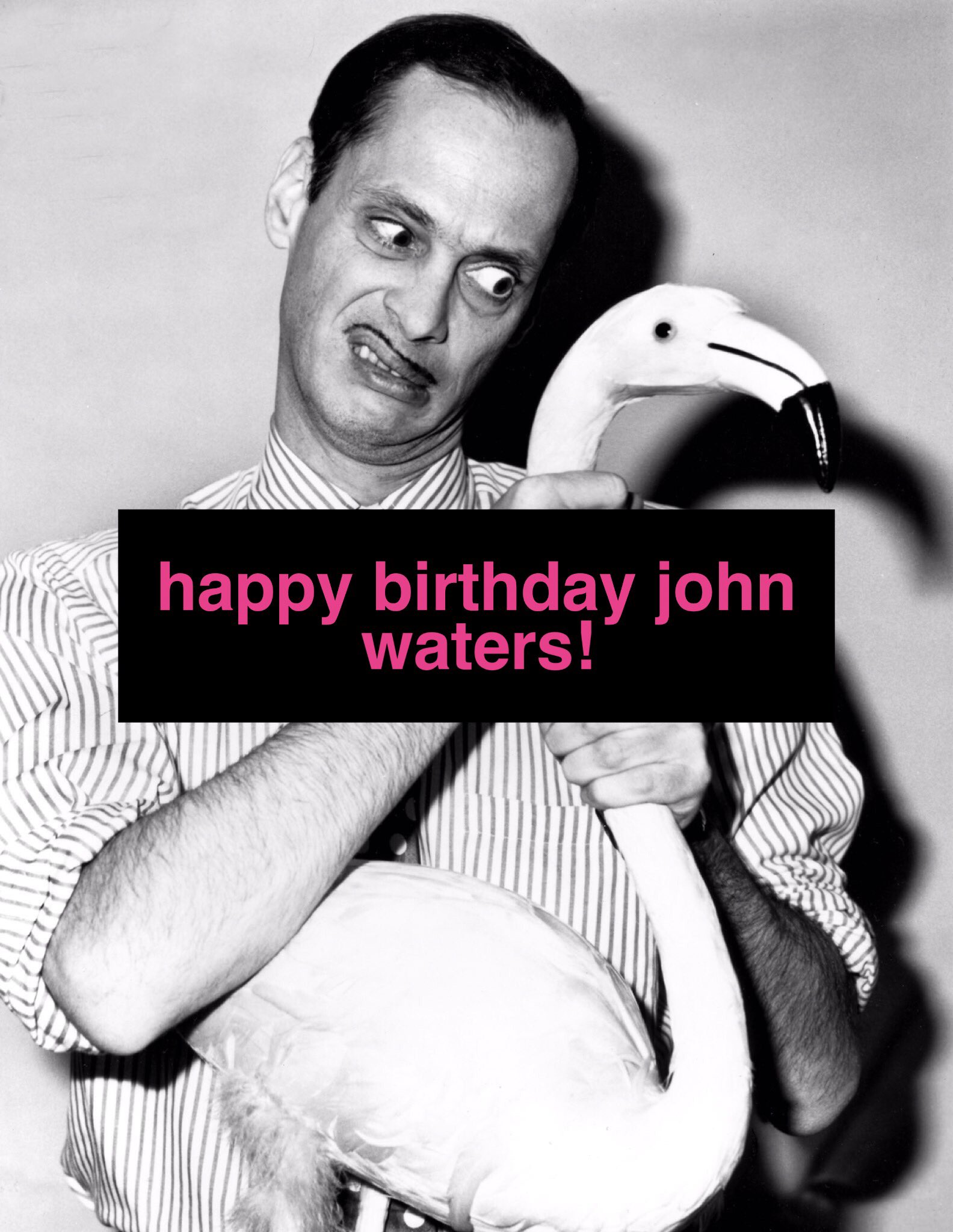 \"Contemporary art hates you\" Happy Birthday John Waters! 