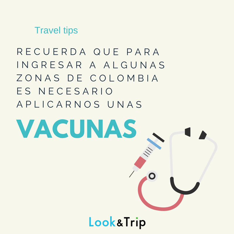 Look and Trip tweet media