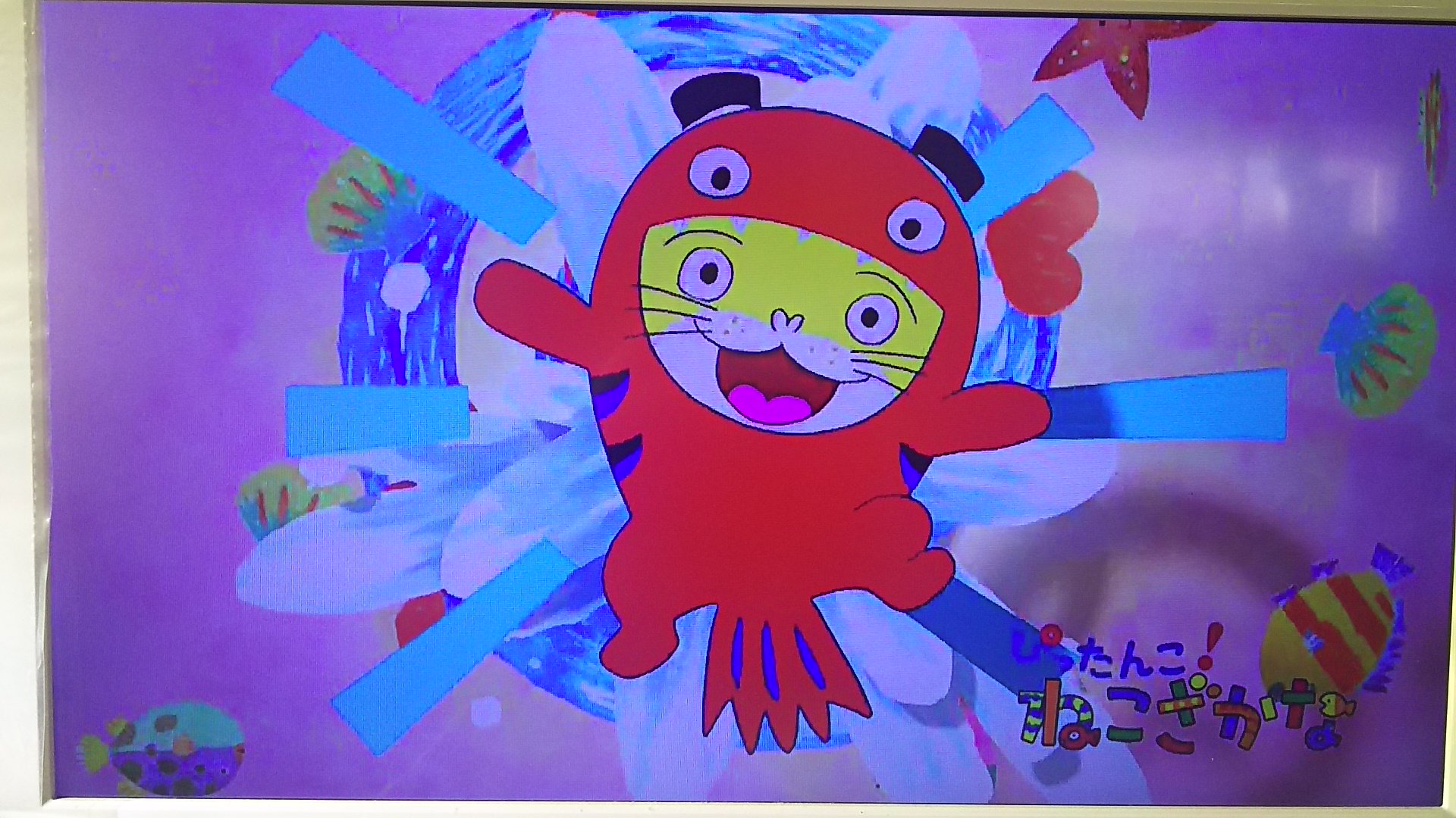 もちづきあゆむ アンパンマンの出版社フレーベル館がお送りする番組 いろんな絵本のキャラ登場 アニメ盛りだくさん きんだーてれび まもなく始まる O ねこざかな テレビ番組 ねこざかな きんだーてれび