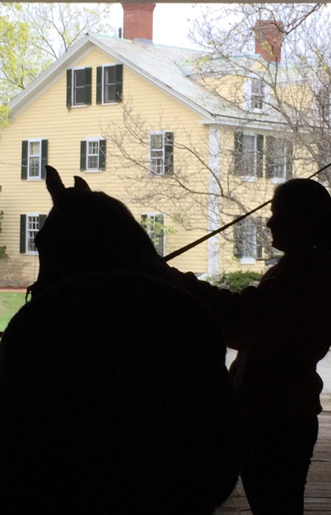 PDFCamp's tweet image. Zoeeeeeeee!