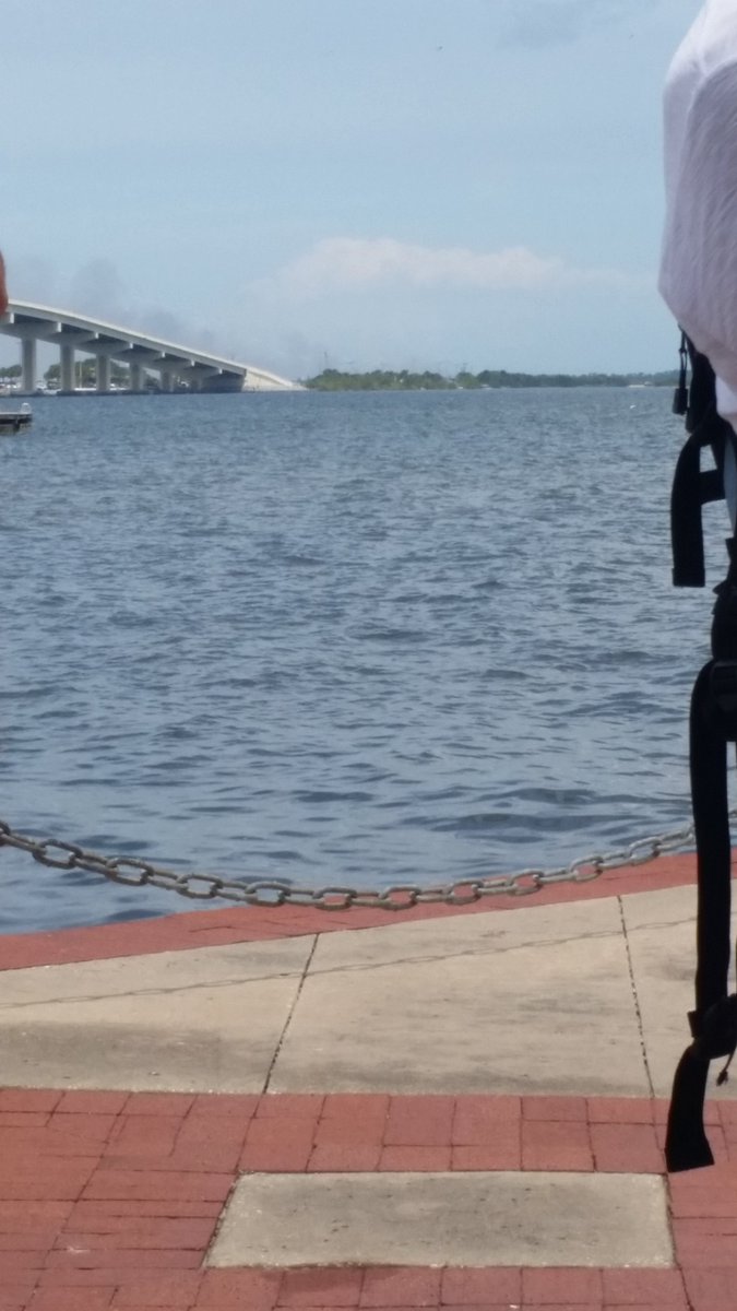 LoganCorina's tweet image. Dolphins attended the #marchforscience on the Space Coast in FL @ScienceMarchSpC #500womenscientists @500womensci @ComparativeCog  #CO32017