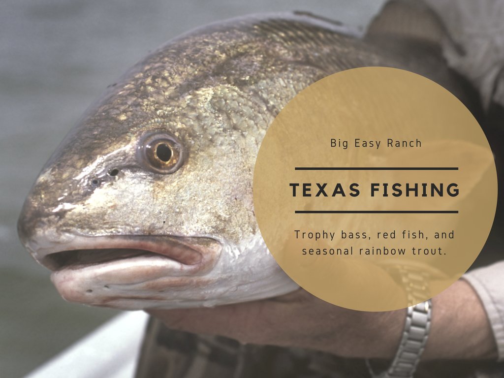 No matter how you like to fish, from the dock, walking, or out of a boat, Big Easy is the ideal #TexasFishing spot: ow.ly/UxnL30aLit0