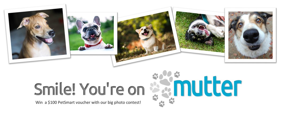 MutterCanada's tweet image. Win $100 @PetsMar vouchers in the #SmileYoureOnMutter contest! ow.ly/MZp330b5nzZ