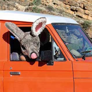 Have you considered car-pooling to WOS? Check out our roadtrip page to hook up with other likely travel buddies! ow.ly/Cip030b4ueK