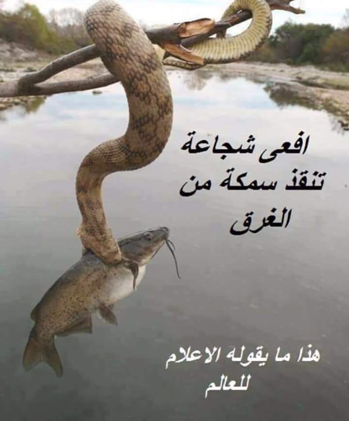 mohabalhur's tweet photo. https://t.co/08RwGl2pqP