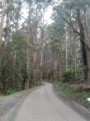 Going_Solar's tweet image. Victorian Walking Festival walks for Wednesday 26/4/17
For details and full program see: victorianwalkingfestival.com.au
#Walks #Melbourne #Victoria