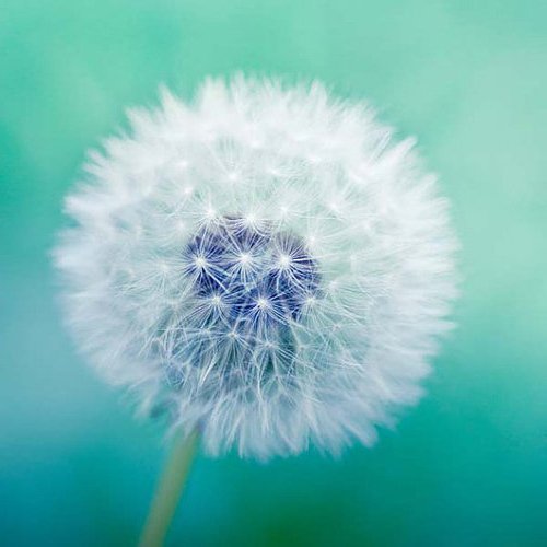 visualseanster's tweet image. This is #UI vs #UX (what #user sees during experience) #customerexperience #design #designthinking #strategy #innovation #Saturdaynight