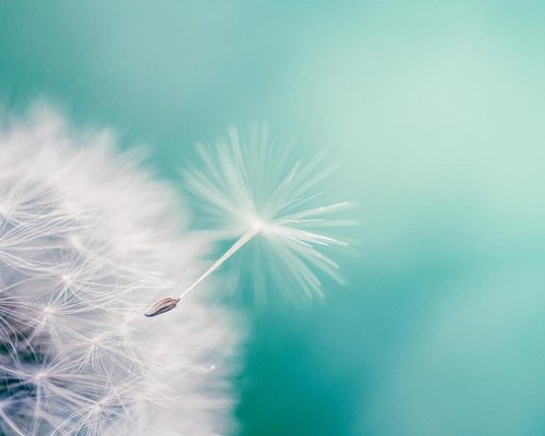 visualseanster's tweet image. This is #UI vs #UX (what #user sees during experience) #customerexperience #design #designthinking #strategy #innovation #Saturdaynight