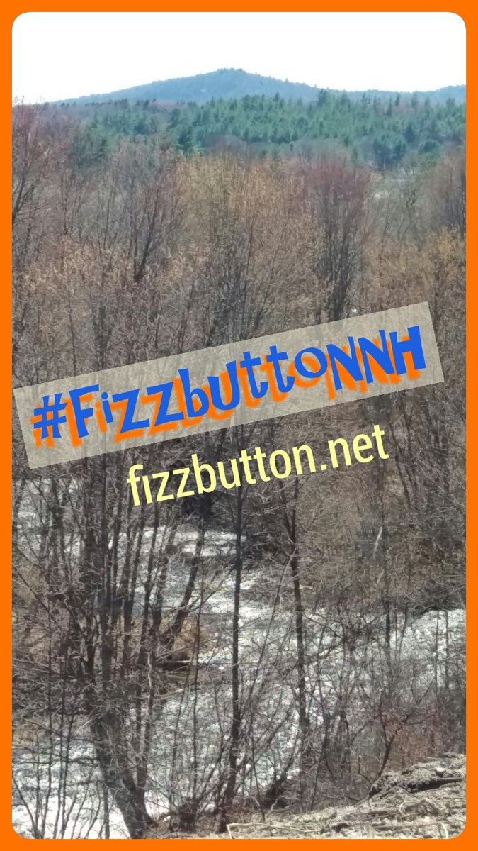 MZBizz5's tweet photo. @deathsquadktown #fizzbuttonnh https://t.co/tukUAI9NfS πππππ Heyπ https://t.co/Hic09EKRZJ