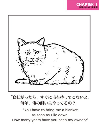 出ない順 試験に出ない英単語 寝転がったら すぐに毛布持ってこないと 何年 俺の飼い主やってるの 試験に出ない猫英語 猫 T Co Qdca9fo31t Twitter 出ない順 試験に出ない英単語 寝転がったら すぐに毛布持ってこないと 何年 俺の飼い主やってるの 試験に出ない猫英語 猫 T Co Qdca9fo31t Twitter