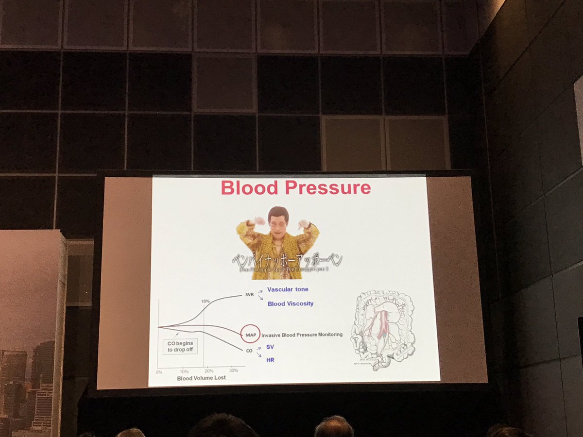 ongsoomay's tweet image. I have to admit - I never thought i would see this video at an #ICU conf. #SGANZICS #multimediaexperience