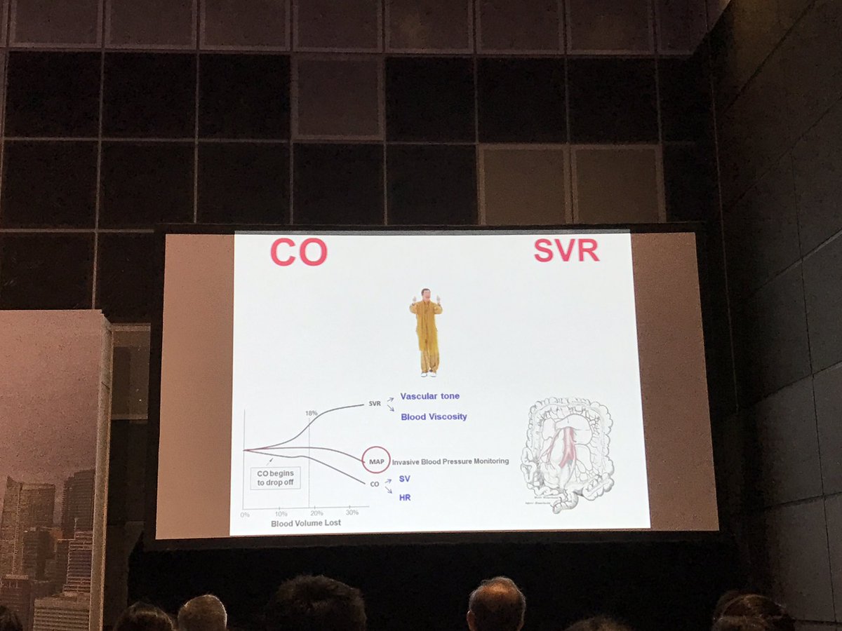 ongsoomay's tweet image. I have to admit - I never thought i would see this video at an #ICU conf. #SGANZICS #multimediaexperience