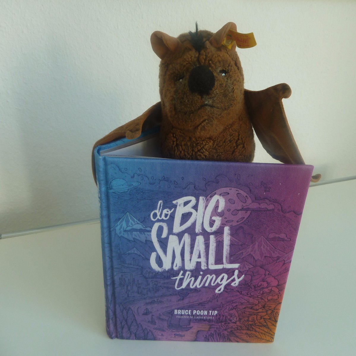 OurTutti's tweet photo. On #WorldBookDay I need to tell you about this gift by @brucepoontip where we can tell our own stories - #DoBigSmallThings - love #books 📚🦇 https://t.co/4a18ogIQWZ