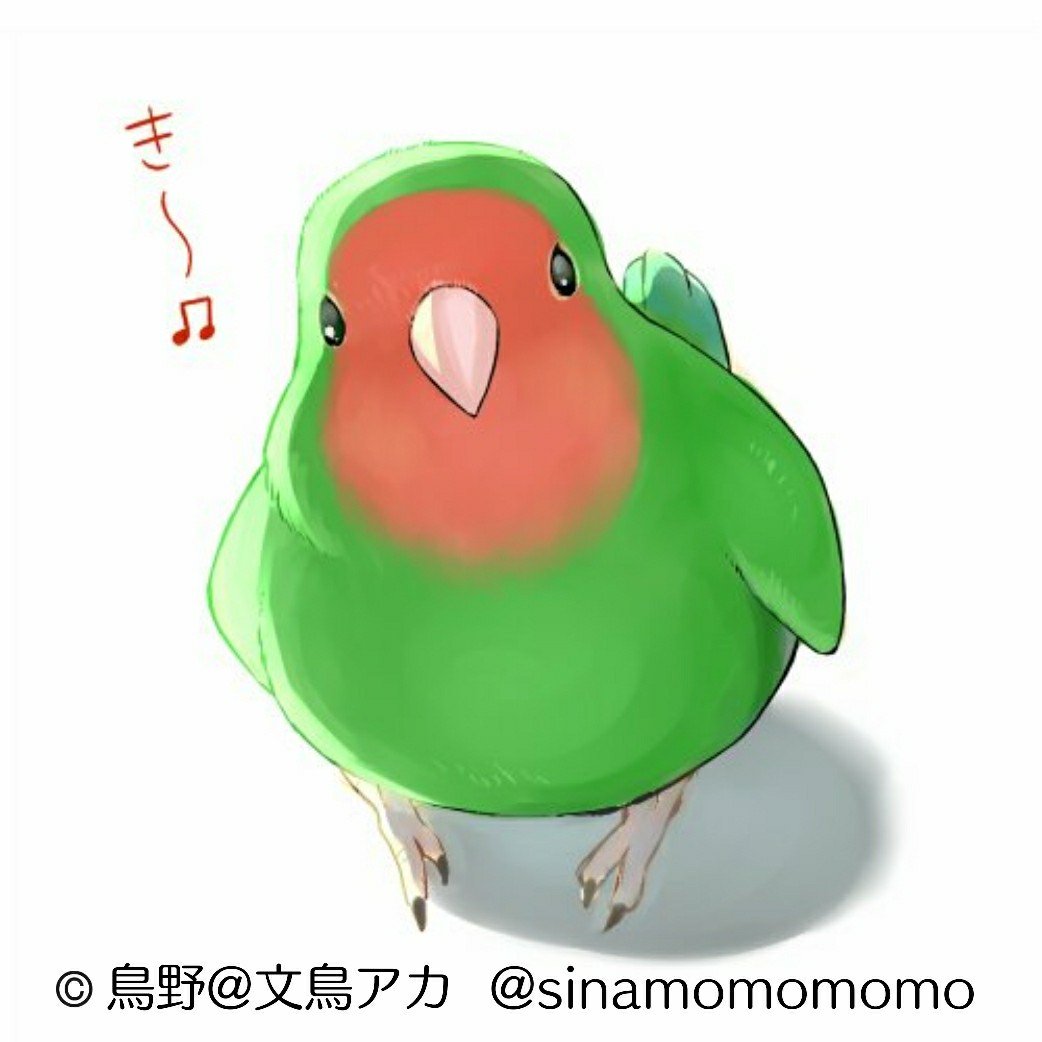 鳥野 土日お絵かき企画 さらひなさん Sara Hina よりリクエスト頂きました コザクラインコちゃんを描かせて頂きましたｖｖｖｖ コザクラのもちもちとした触り心地と 丸くカワイイ瞳は最高ですね さらひなさん リクエスト有難うございました