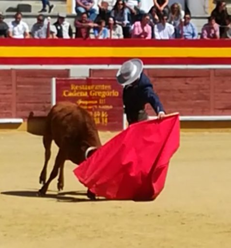 MFMazzantini's tweet photo. Hoy se pudo ver en el Álamo  lo que el genio lleva dentro @AnSanchezPuerto  ENHORABUENA por enseñar esa pureza y toreria!! https://t.co/hoTyPPLppu