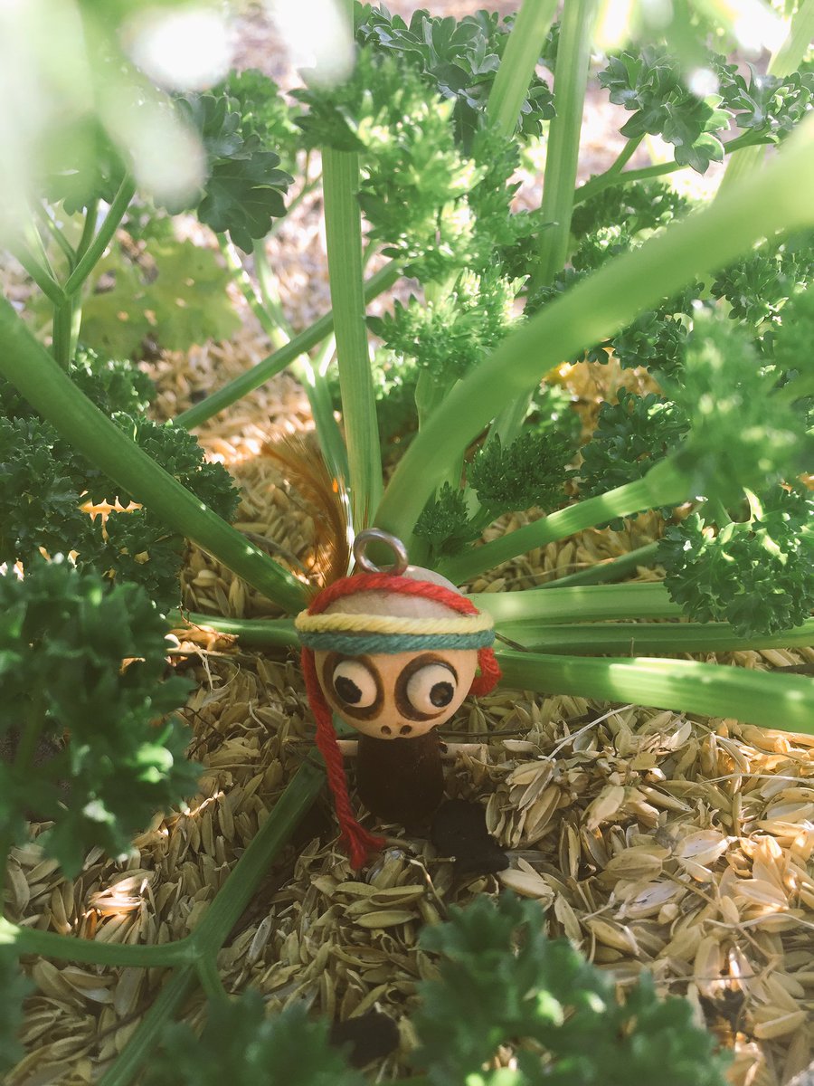 Forest___Ghost's tweet photo. Forest Ghost & parsley
#ForestGhost https://t.co/fH73Oic5Mt
