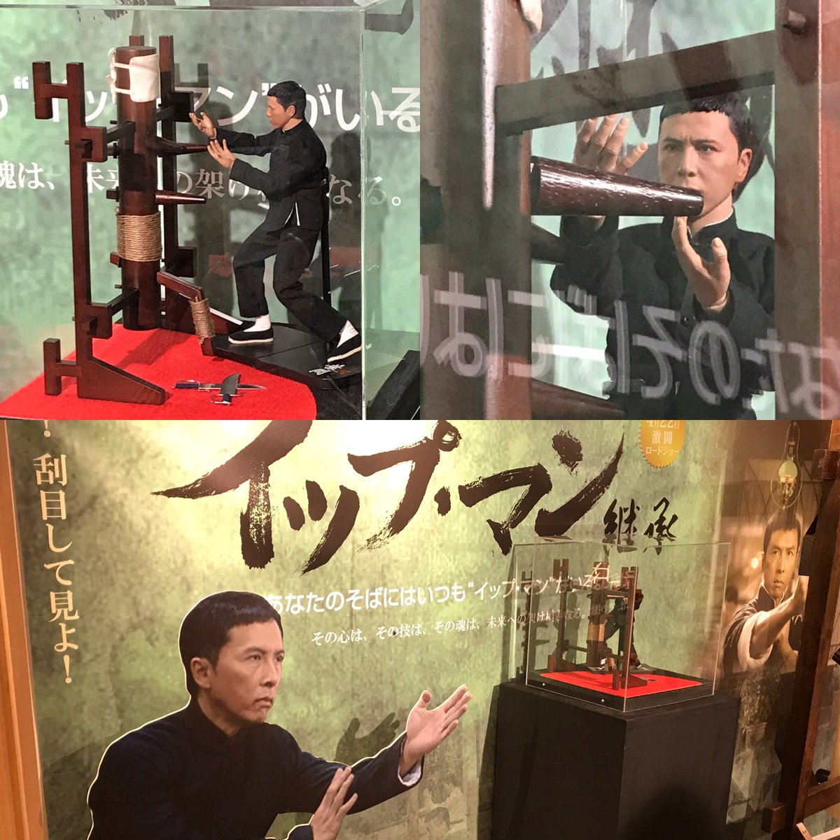 木人椿 木人椿