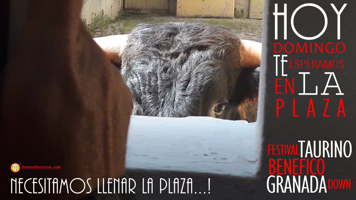 Te esperamos hoy domingo en la plaza de Granada, Festival Benéfico Granada Down. ¡Necesitamos llenar la plaza!