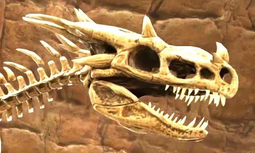 Rex on Twitter: "@DododexApp Also, maybe a Wyvern skull skin? I would they could easily shrink/modify the existing model seen in the wyvern bone skin. / Twitter