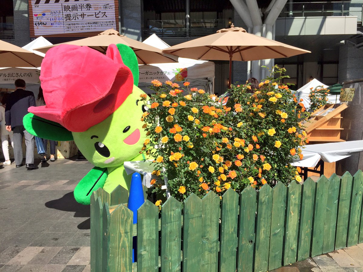 エコバラちゃん 午後のお散歩でもたくさんのお友達と触れ合って ニコニコ笑顔が満開でした 博多駅前広場 九州バラ祭り エコパーク水俣バラ園 エコバラちゃん