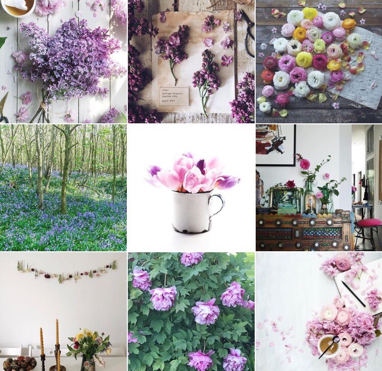 If you like flowers, go and have a look at the #botanicalforagersunitedsocietyinc hashtag on Instagram, it's as pretty as it is long 🌸🌸🌸
