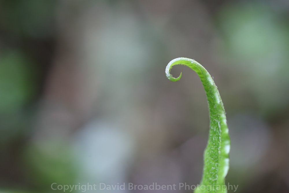 FANDVOS's tweet image. Join us @puzzlewoodfod on May 14 in #deanwye #Gloucestershire 4 fab #photography #trainingday all abilities info via info@davidbroadbent.com