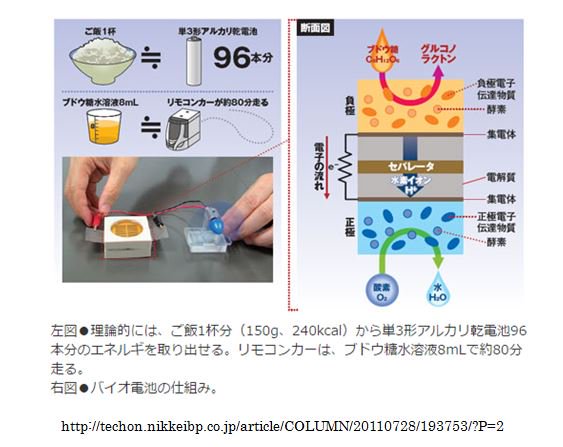 徳島大学 バイオ燃料電池プロジェクト V Twitter こんにちは 燃料電池プロジェクトです 私たちは藍染の廃液や廃棄米を燃料とした燃料電池の研究をしています 理論上では お茶碗一杯分の米から 単三アルカリ電池約100本分の電気が取り出せます 皆さんも一緒に夢