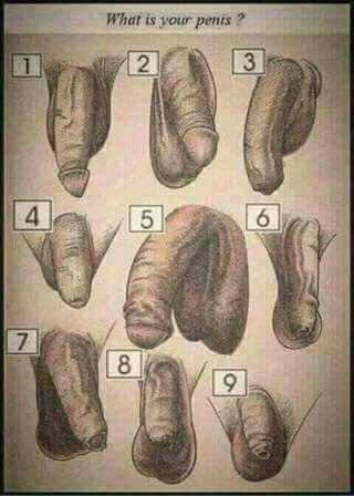 HotEducation1's tweet photo. #sexy #hoteducation #interactiveangels #videochat 
 #pricechecker #modelsearch #modelrate https://t.co/wGSjxxAasw https://t.co/V60NV609b6