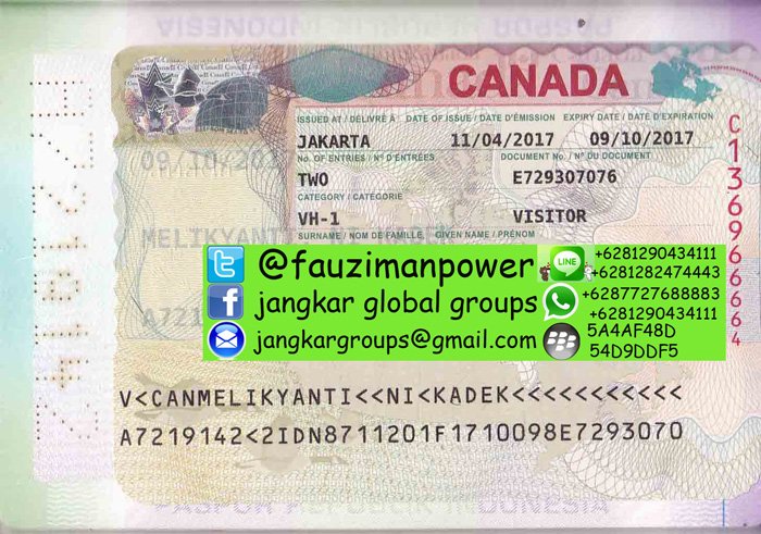 Transit visa. Canada visa. Ета виза Канада. Belize Transit visa.