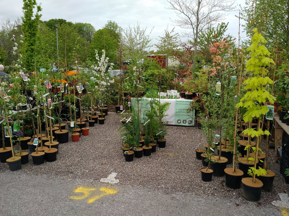 Fota House Plant Fair