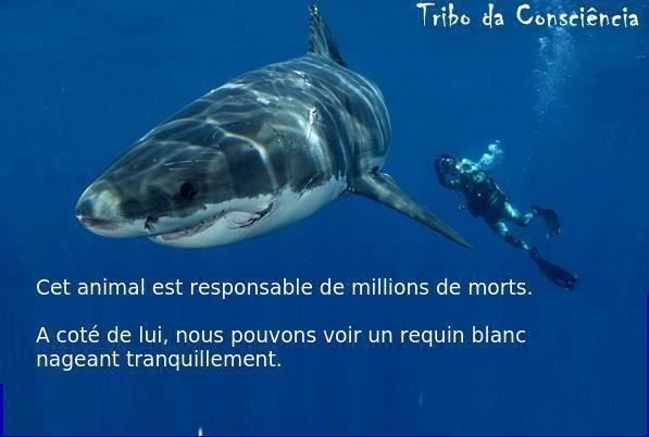 mailsboulets's tweet image. Danger public