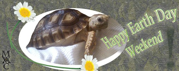 TechWebTech's tweet image. Promoting your business with unique designs...mavcgraphics.com 😄  #happyearthday2017