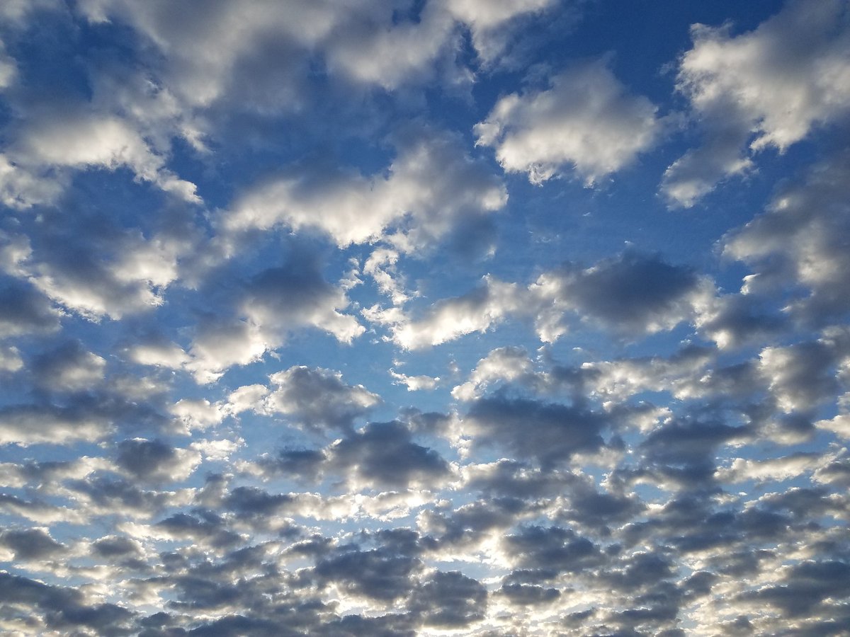 Artists_Journey's tweet image. #sst @hannahclive @heatherturman @KarolineMusic1 @KariJoys @PeteEscalante1 @RachelBoyce65 @PwrFulWmn @RichardLeoHunt @nico_gaia @Maxiflea