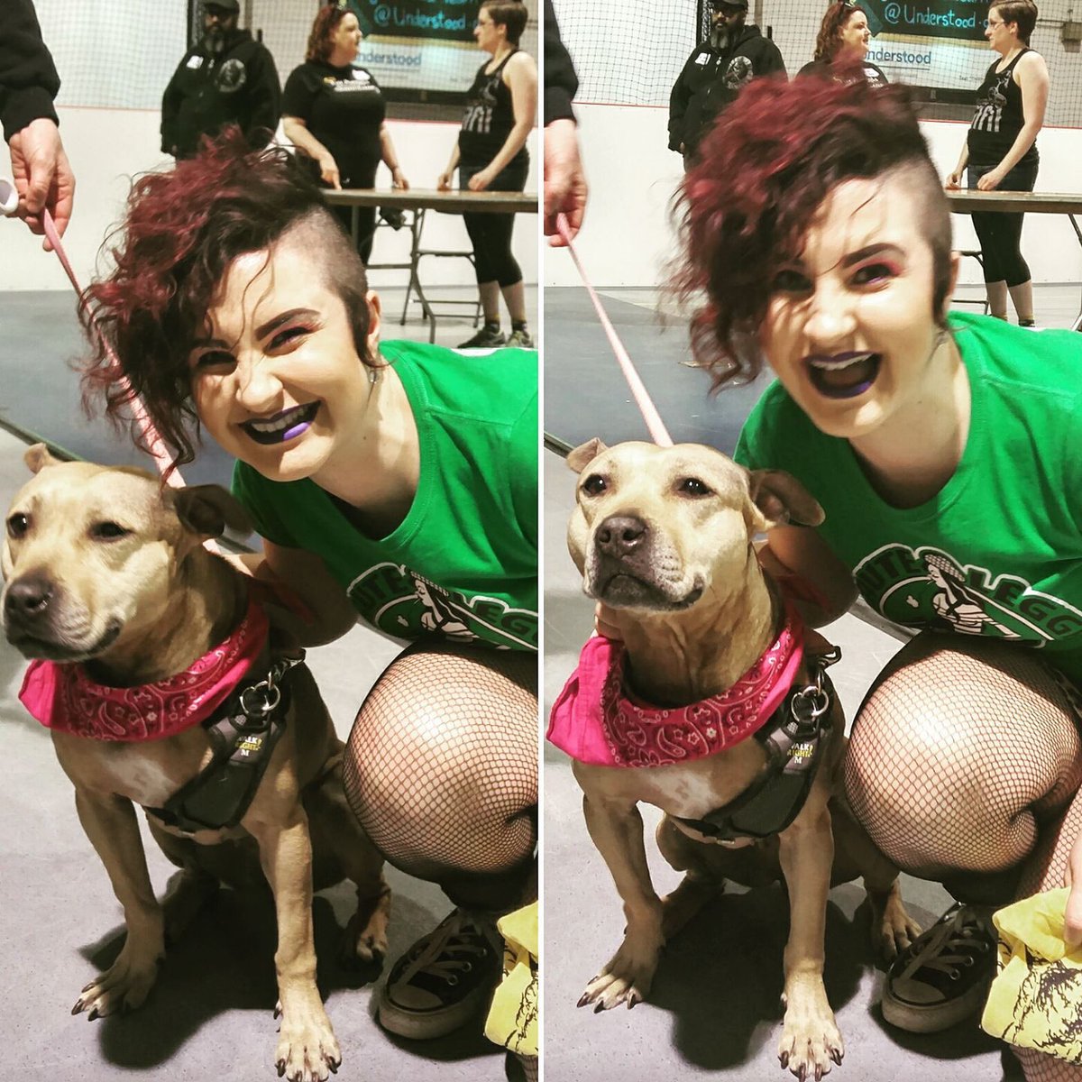 royalcityroller's tweet image. There was adoptable dogs at last night's @chicagooutfit game. Slamoiselle made friends with this pile of smiles Amelia! 
😂🐶😂🐶😂
#DogsOfDerby