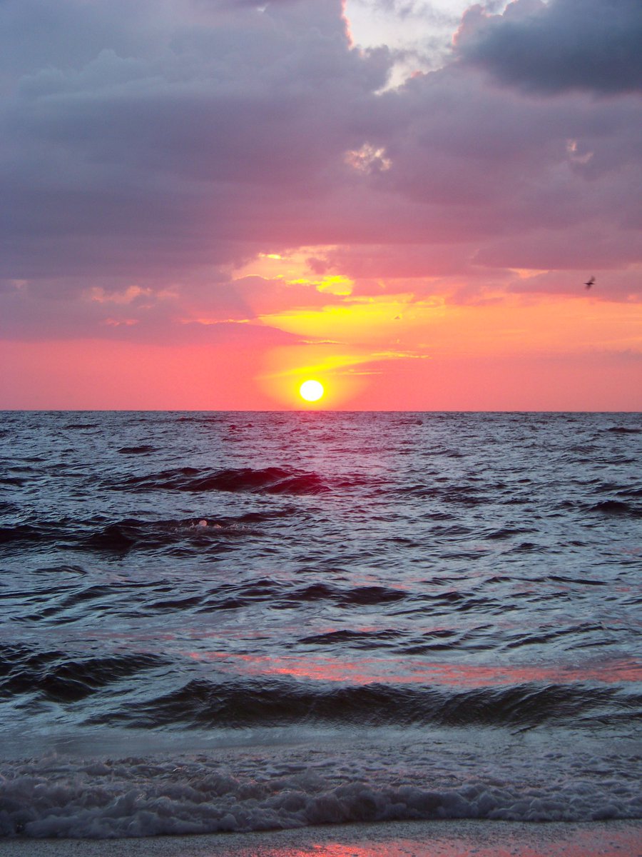 WildFlower_0121's tweet photo. #WinMeOverBy dancing with me on the beach at sunset https://t.co/0PFaSbWyEO