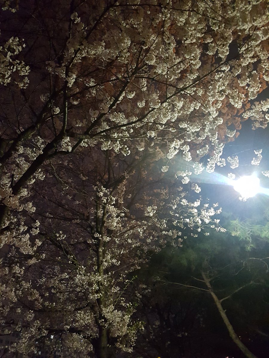 NaNa (@gsa00034) on Twitter photo 