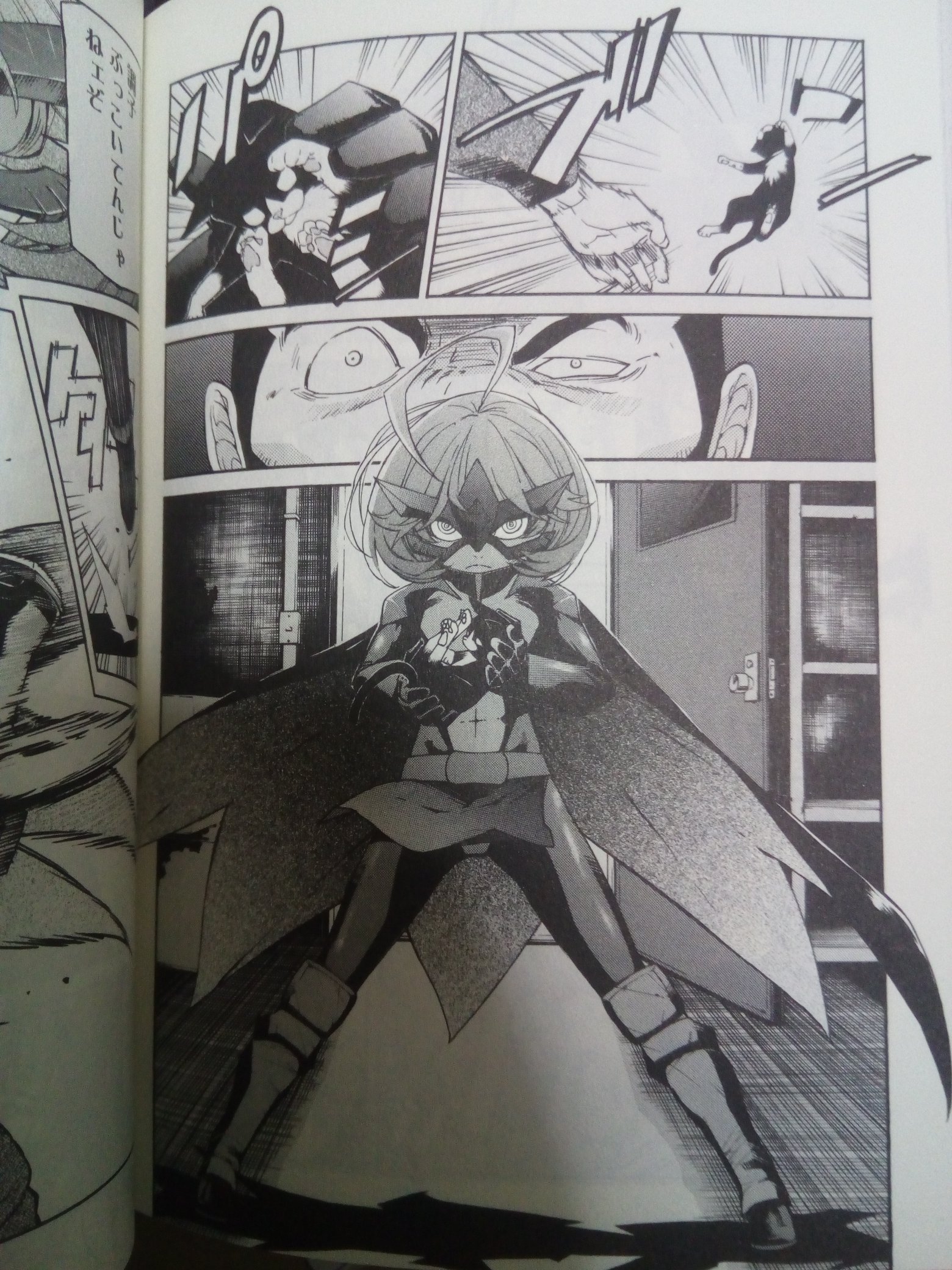 t.r.a.s.h レイプ  / X