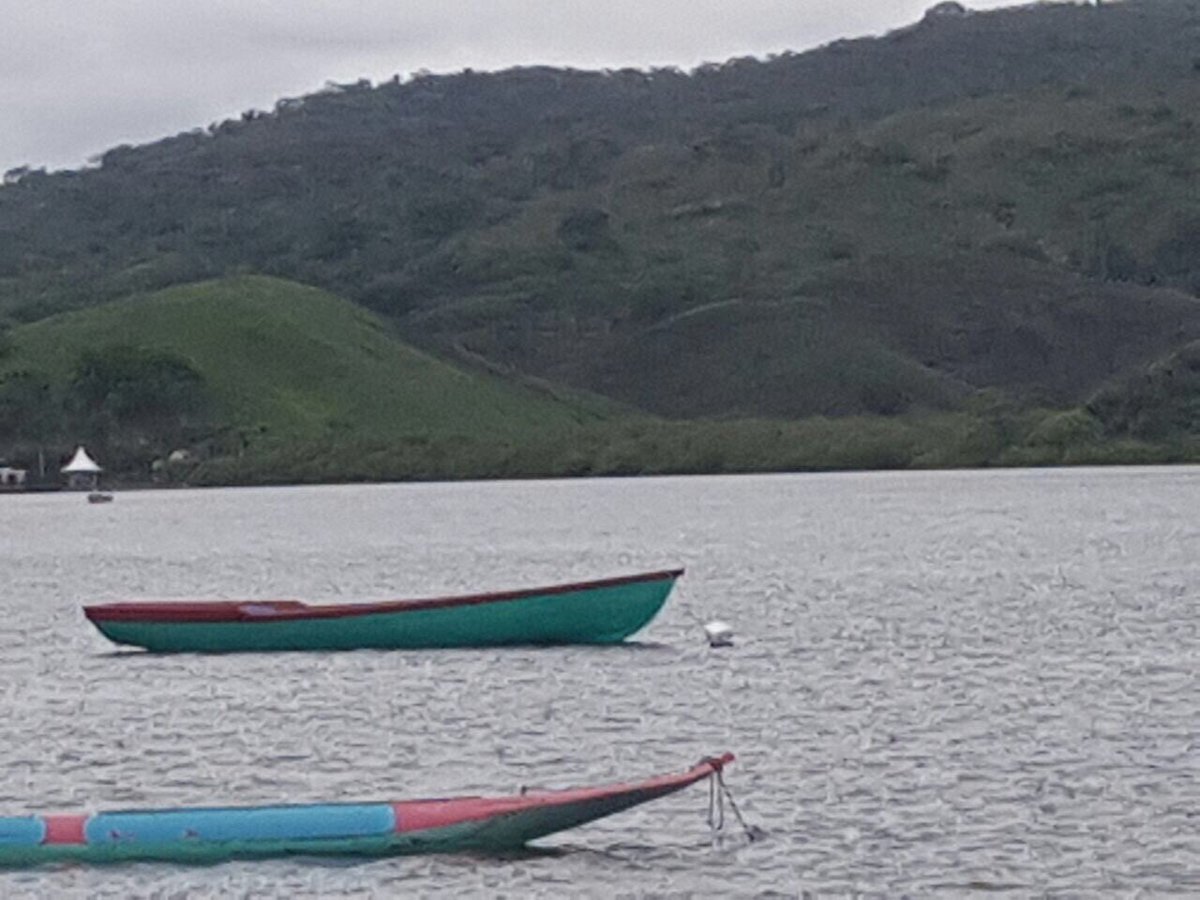 fallima's tweet image. 